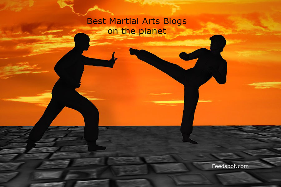 50 Best Martial Arts Blogs and Websites To Follow in 2024